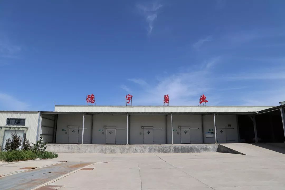 1665641021623793.jpg 3.jpg