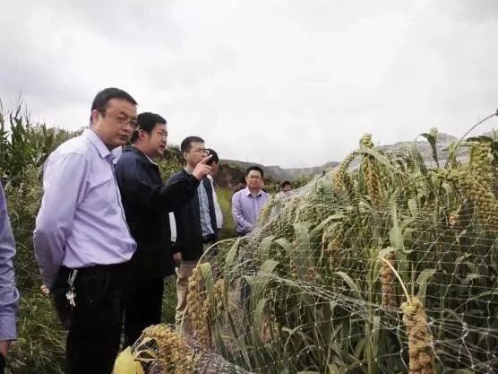 1665642204351474.jpg 3.jpg